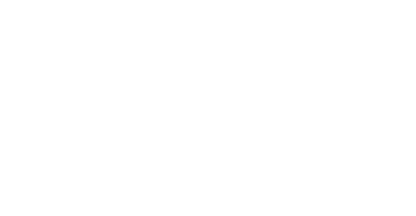 Crown Press Inc